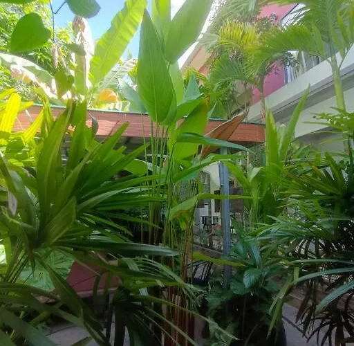 - Four Bedrooms Near Angkor Wat * Siem Reap