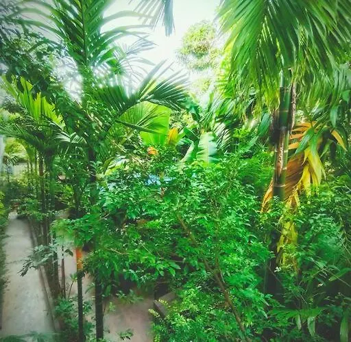 - Four Bedrooms Near Angkor Wat Holiday home *
