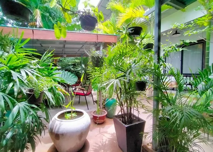 - Four Bedrooms Near Angkor Wat *